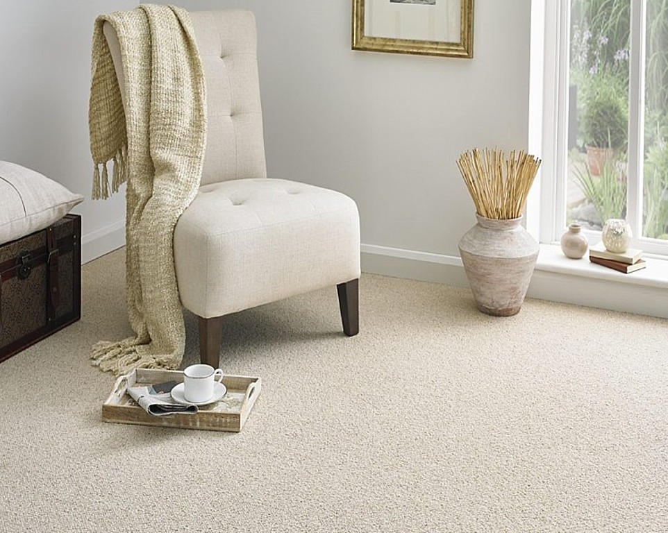 Berber Style Carpets Image