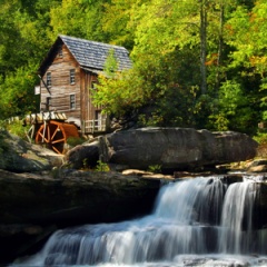 categories_44_colorado_0