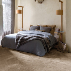 invictus-sirius-carpet