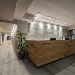misty-elm_98406067
