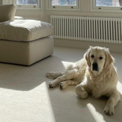 natural-shades-thumb