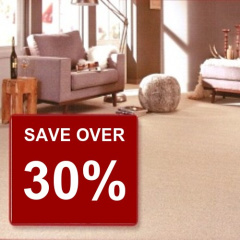 save-30-on-this-carpet