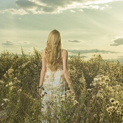 springtime_logo_310339382