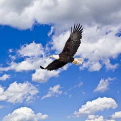 vantage_logo_1735174543