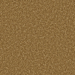 apollo-plus-bumblebee_284668464