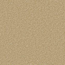 apollo-plus-caramel
