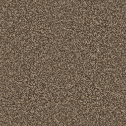 kingston_mocha