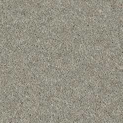mountain_larch