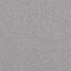 nickel_1742561937