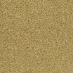 shoreline-golden-bay